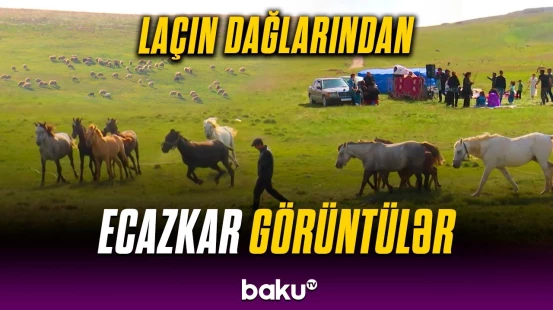 Dəlidağ sakinlərinin səfalı Laçında yaylaq görüntüləri