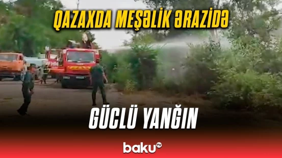 Qazaxda açıq ərazi alova büründü | FHN hadisə yerində