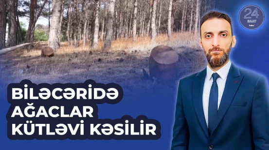 Biləcəri qəsəbəsindəki parkda ağacların kəsilməsi sakinlərin narazılığına səbəb oldu