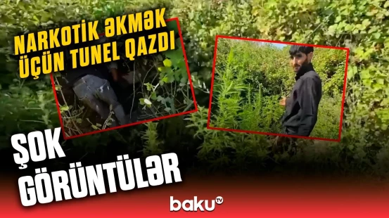 "Sudan keçib gedib baxırdım ki..." | Narkotik əkən şəxs əməllərini etiraf etdi