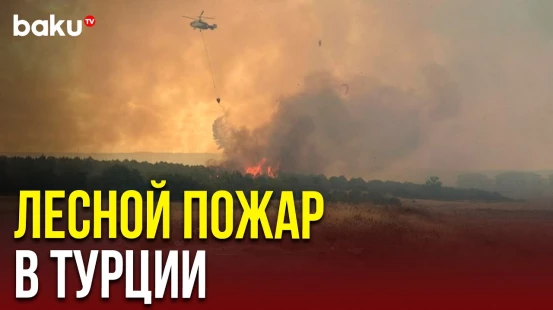 В провинции Гелиболу (регион Чанаккале) продолжаются работы по тушению лесного пожара