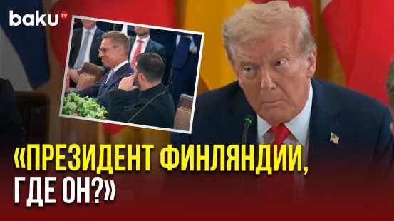 Дональд Трамп приветствует европейскую делегацию на саммите с Зеленским