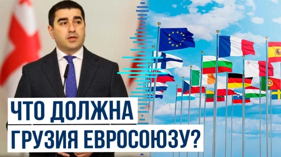 Спикер парламента Грузии Папуашвили об интересах Грузии в регионе и в Европе