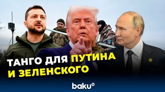 Трамп требует диалога между Путиным и Зеленским