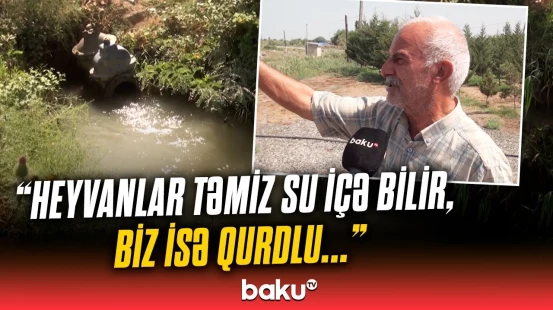 Sakinlər qurdlu suyu görün necə içir | Acınacaqlı vəziyyətdə qalanların üsyanı