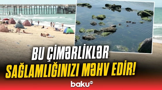 Dənizə gedənlərdə xəstəlik riski | Təhlükə saçan çimərliklər ifşa olundu!