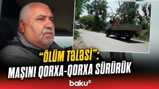 "Bunu kəsib meyvə ağacı əkin də..." | Sürücülərin kabusuna çevrilən yol