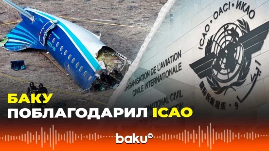 Азербайджан выразил признательность ICAO за внимание к расследованию крушения самолета компании AZAL