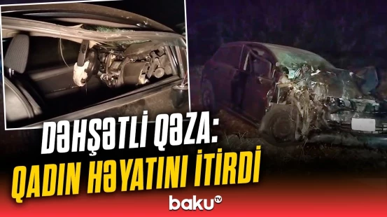 Oğuzda avtomobil ağaca çırpıldı | İribuynuzlu heyvan faciəyə səbəb oldu