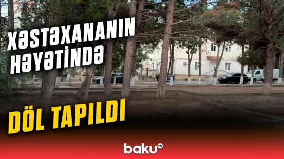 Sumqayıtda xəstəxana həyətindən 8 aylıq insan dölü aşkar edildi
