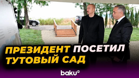 Президент ознакомился с работой, проделанной в тутовом саду в селе Дашбулаг Ходжалинского района
