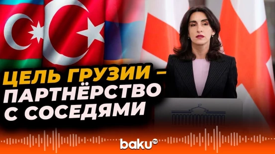 МИД Грузии о вопросах глобальной безопасности и отношениях с соседями по региону
