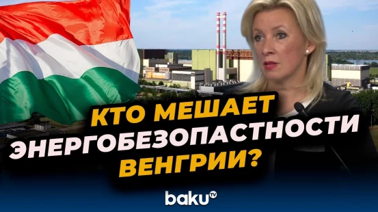 В МИД России назвали страну, срывающую постройку реактора на АЭС «Пакш-2»