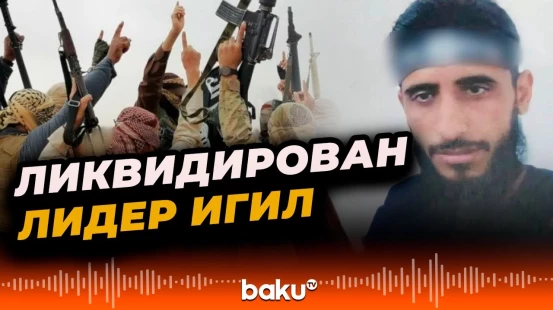 США и коалиция уничтожили организатора терактов ИГИЛ в Европе и США