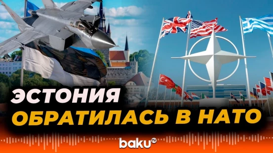 Эстония запросила консультации с другими членами НАТО после инцидента с российскими истребителями