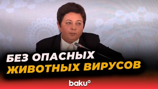 Выступление зампредседателя Агентства пищевой безопасности Азербайджана на AIIF 2025