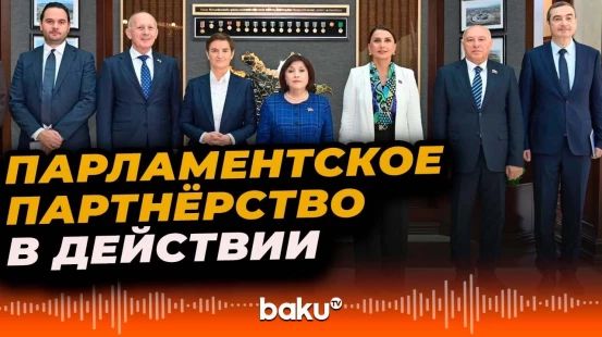 Баку и Белград укрепляют двустороннее межпарламентское сотрудничество