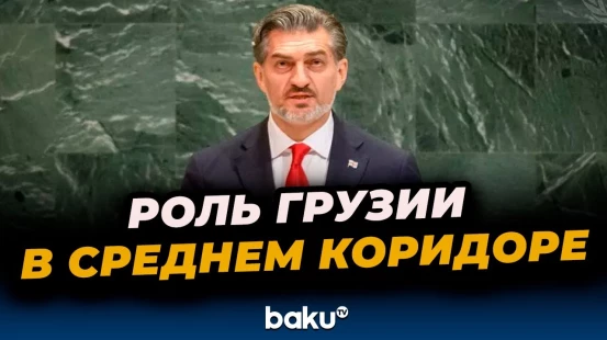 Выступление президента Грузии Михеила Кавелашвили в рамках 80-й сессии Генассамблеи ООН