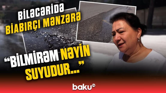 Küçədə “peyda olan” su sakinləri özündən çıxardı | “10 gündür ki, bərbad vəziyyətdir”