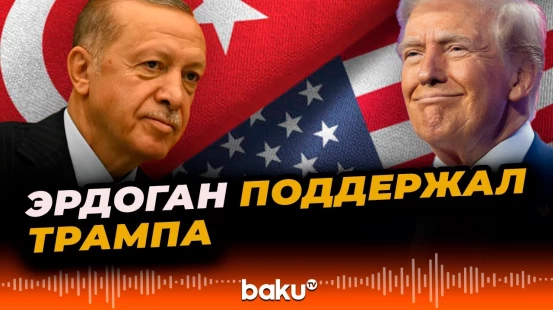 Эрдоган поддержал план Дональда Трампа по прекращению конфликта в Газе