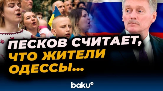 Дмитрий Песков прокомментировал слова губернатора Владимира Сальдо