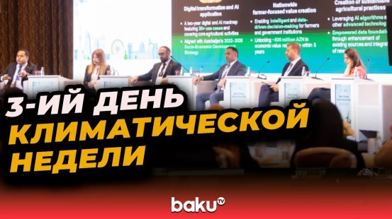 В рамках Бакинской климатической недели обсуждена тема повышения устойчивости к климату по секторам