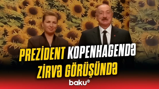 Prezident Danimarkada Zirvə toplantısının keçirildiyi məkana gəldi