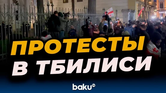Митингующие в Тбилиси пытаются пробиться к резиденции президента Грузии
