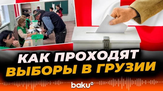 В Грузии проходят выборы в органы местного самоуправления
