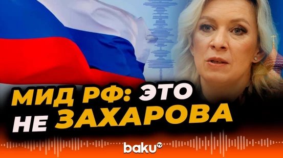 МИД России распространил информацию о фейке записи Марии Захаровой