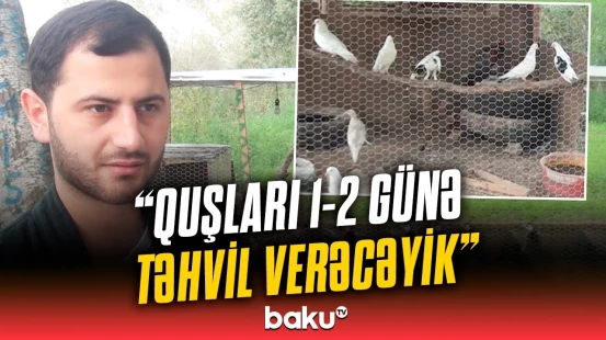 Sabirabadda heyvanların qapalı məkanda saxlanıldığı aşkarlanıb | Restoran fəaliyətini dayandırıb?