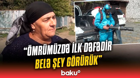 “Uşaqlarımız yemək də yeyə bilmir” | Sakinlərin kabusuna çevrilən böcəklər