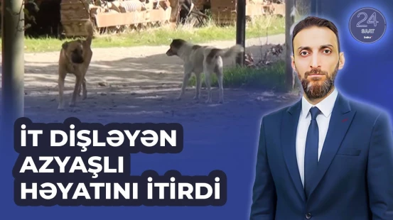Tovuzda azyaşlı it hücumunun qurbanı oldu - 24 SAAT