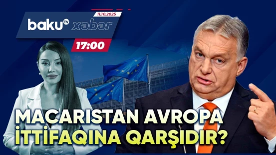 Viktor Orban təşkilatı nədə ittiham edir?