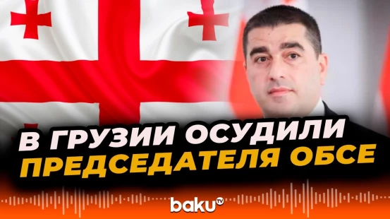 Шалва Папуашвили осудил действия финского министра и председателя ОБСЕ Элины Валтонен