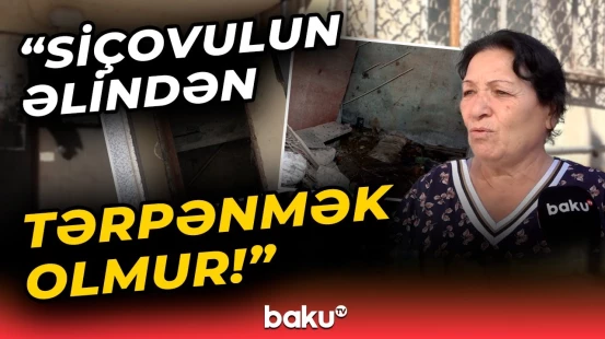 Həşəratların “at oynatdığı” bina | Sakinlərin başına oyun açan problemin səbəbi nədir?