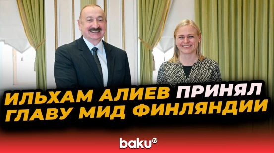 Президент принял действующего председателя ОБСЕ, главу МИД Финляндии Элину Валтонен