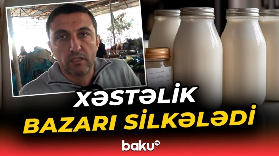 Kürdəmirdə dabaq xəstəliyi ağartı məhsullarının qıtlığına səbəb oldu