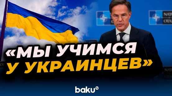 Генсек НАТО Марк Рютте о встрече Дональда Трампа и Владимира Зеленского