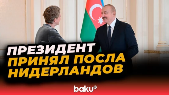 Президент Ильхам Алиев принял верительные грамоты новоназначенного посла Нидерландов в Азербайджане