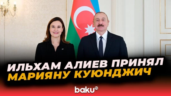 Президент Ильхам Алиев принял верительные грамоты нового руководителя представительства ЕС в АР