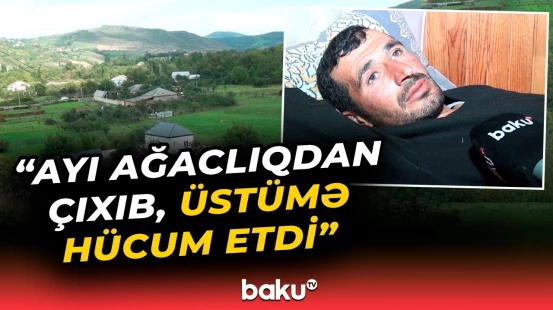 Qubada kənddə qorxulu anlar | Kənd sakini ayının hücumuna məruz qaldı