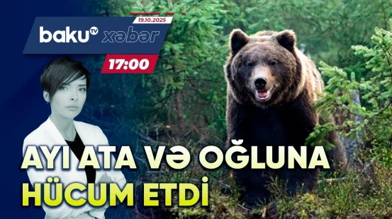 Naxçıvanda ayı hücumu: Yaralanan var - CANLI