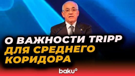 Али Асадов: Азербайджан, Грузия и Казахстан вводят единый тариф для перевозок по Среднему коридору