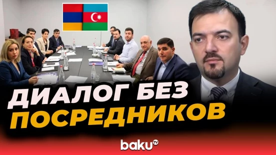 Директор Центра Топчубашева о встрече представителей гражданского общества АР и РА