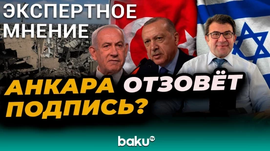 Турецкий политолог Хусамеддин Инач о возможном вето Израиля на участие Анкары в силах стабильности