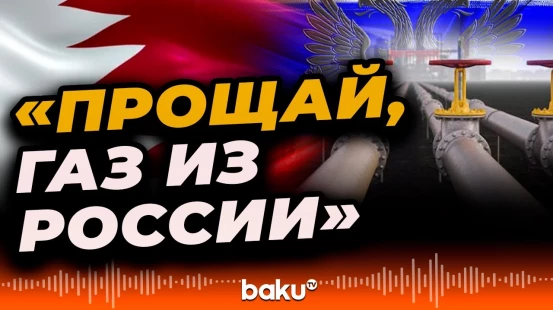 В статье Nasıl Bir Ekonomi о решении Евросоюза отказаться от российского газа