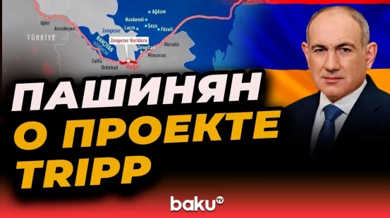 Премьер-министр РА Никол Пашинян на Парижском мирном форуме коснулся проекта TRIPP