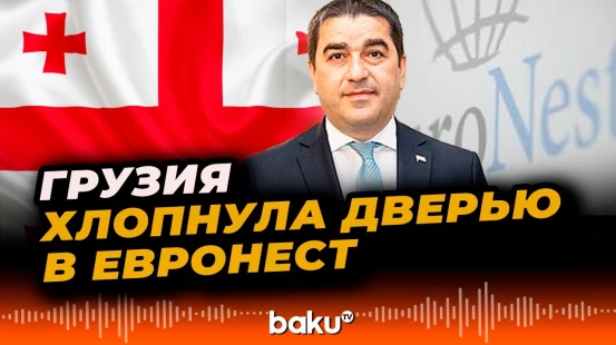 Грузия приостановила участие в ПА Евронест