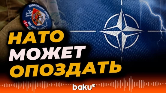 Раскрыты тревожные детали военной логистики НАТО
